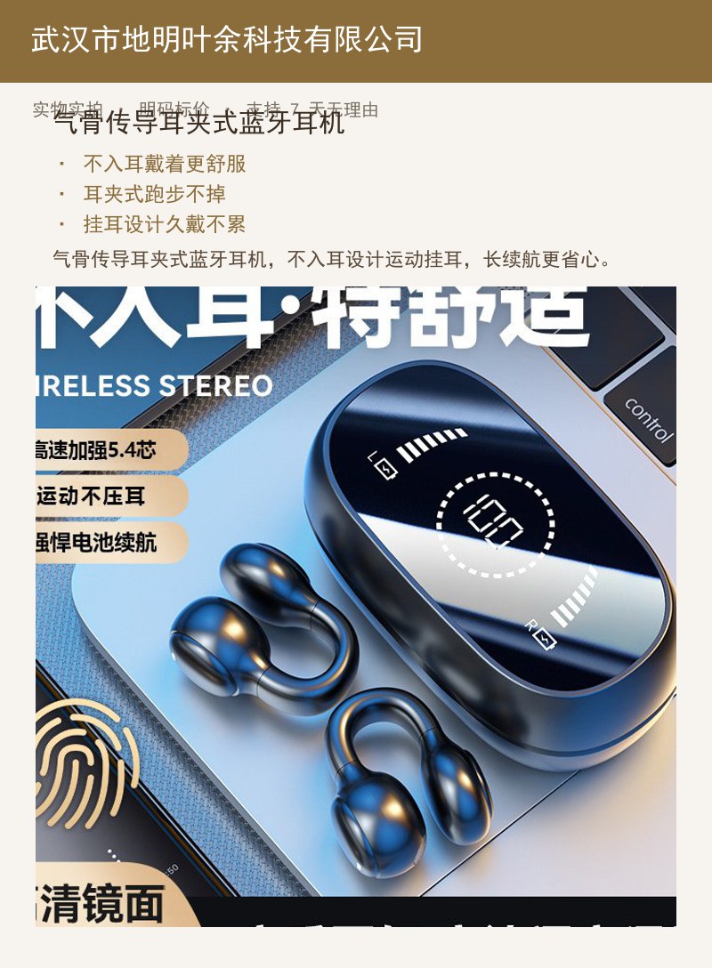 有线耳机半入耳式3.5mm圆孔接口type-c扁口带麦k歌数字音频全兼容 详情图
